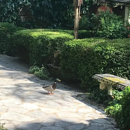 Le Moulin Neuf 4* Saint-Alvère