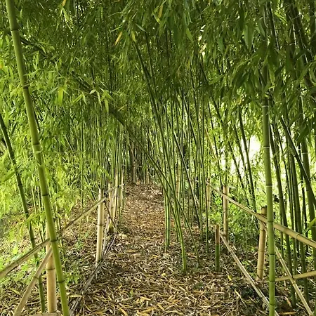 Bed and breakfast Le Moulin Neuf