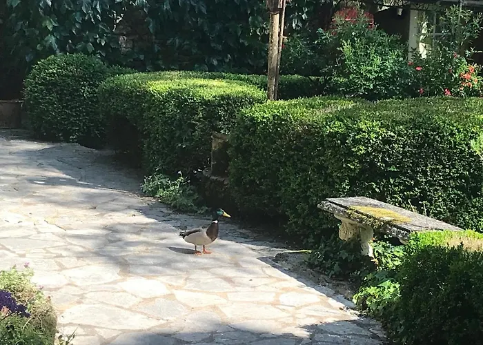 Le Moulin Neuf 4* Saint-Alvère