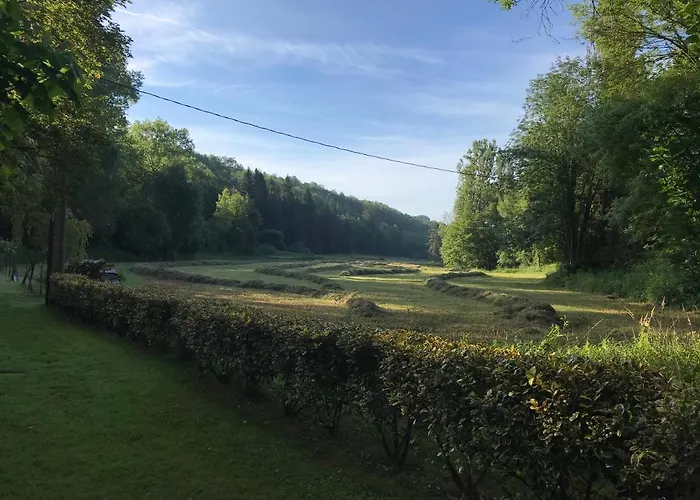 Le Moulin Neuf 4* Saint-Alvère