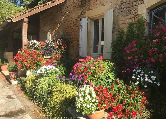 Le Moulin Neuf 4* Saint-Alvère