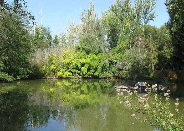Le Moulin Neuf Saint-Alvère